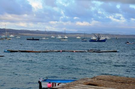 Dingy Dock Adrift in Turtle Bay