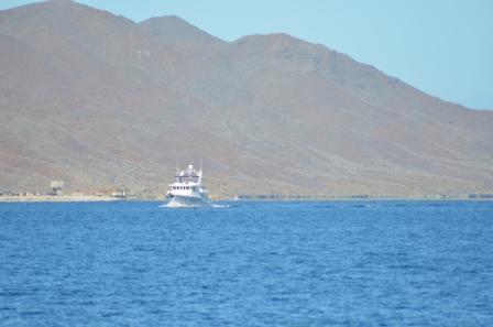 Leaving Magdalena Bay