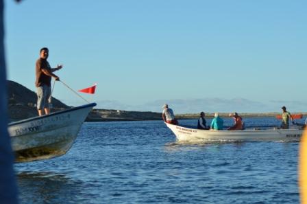 Magdalina Bay Water Taxi