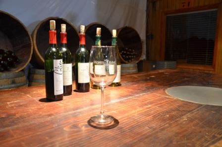Glass and Wines at Xanic