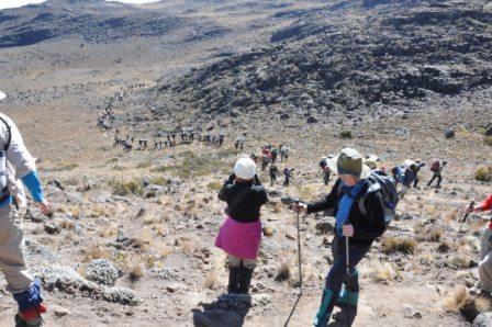 Line of Hikers heading to Kibo Camp