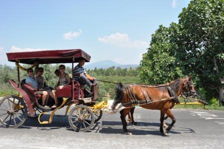 Kathy's Horse Cart Leaving Ephesus