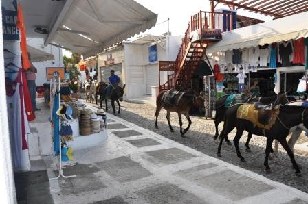 Mules in Santorini