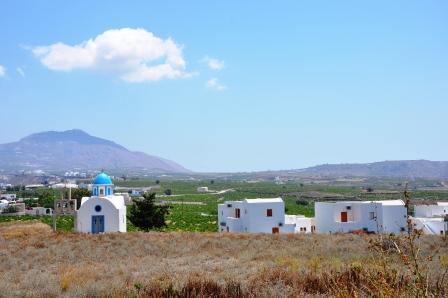 Santorini Vineyards